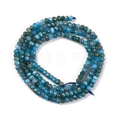Natural Apatite Beads Strands X-G-F770-D09-02B-1