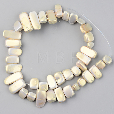 Spray Painted Natural Freshwater Shell Beads Strands SHEL-S276-89A-1