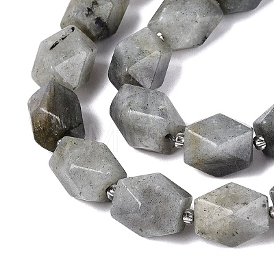 Natural Labradorite Beads Strands G-Q608-11E-1
