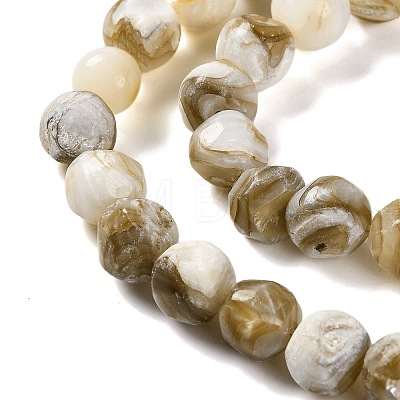 Natural Freshwater Shell Beads Strands BSHE-S304-03-1