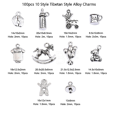 100pcs 10 Style Tibetan Style Alloy Charms TIBEP-CJ0001-29-1