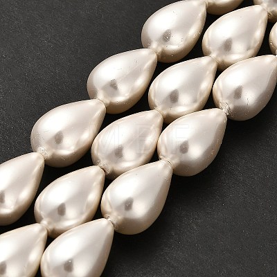 Electroplate Shell Pearl Beads Strands BSHE-G010-10x16mm-01-1