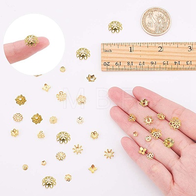 Iron & Brass & Alloy Bead Caps IFIN-SC0001-10-1