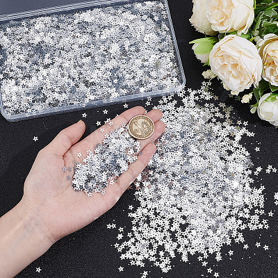 100G PET Paillette/Sequins Pendants KY-CY0001-24B-1