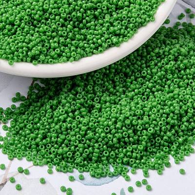 MIYUKI Round Rocailles Beads SEED-X0056-RR0411-1