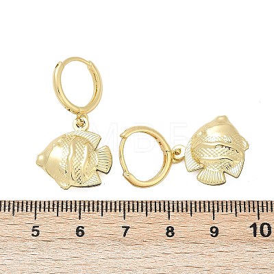 Brass Hoop Earrings EJEW-Q036-03A-G-1