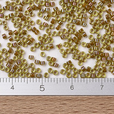 MIYUKI Delica Beads SEED-X0054-DB1738-1