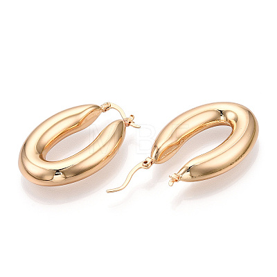 Brass Hoop Earrings EJEW-H301-06G-1