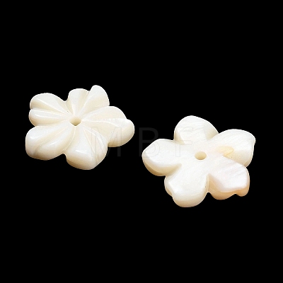 Natural Freshwater Shell Carved Pendants SHEL-C010-07-1