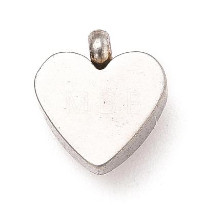 304 Stainless Steel Charms STAS-I165-05P-03-1