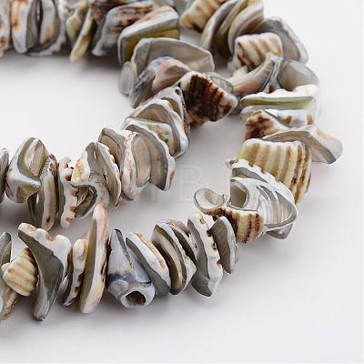 Natural Shell Bead Strands BSHE-P010-08-1