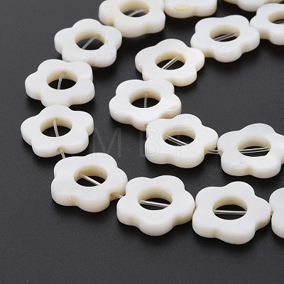 Freshwater Shell Beads Frames Strands SHEL-T009-14A-1