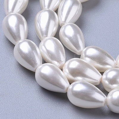 Polished Shell Pearl Beads Strands X-BSHE-L042-A02-1