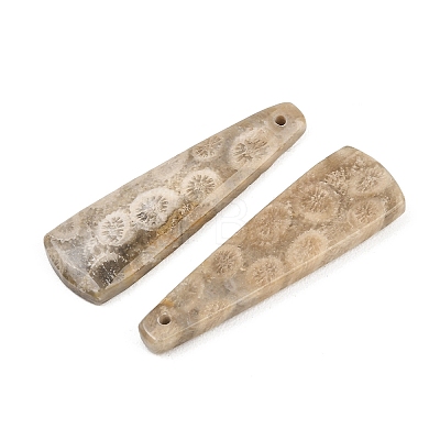 Natural Fossil Coral Pendants G-B187-01C-03-1