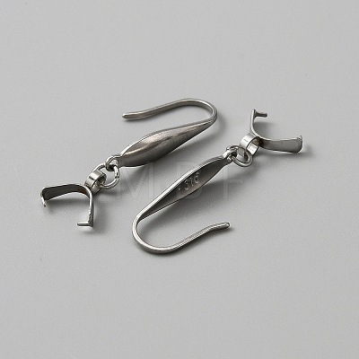 316 Stainless Steel Earring Hooks STAS-WH0031-18P-1