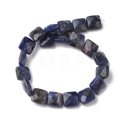 Natural Sodalite Beads Strands G-K359-B07-01-1