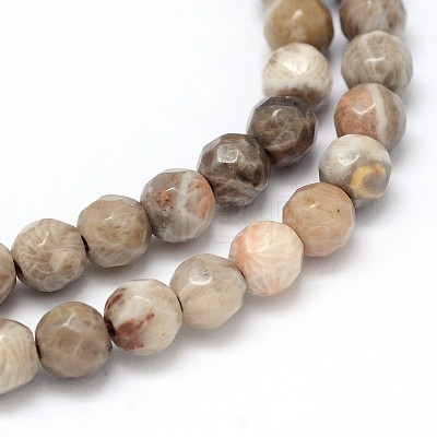 Natural Fossil Coral Round Bead Strands G-O094-08-4mm-1