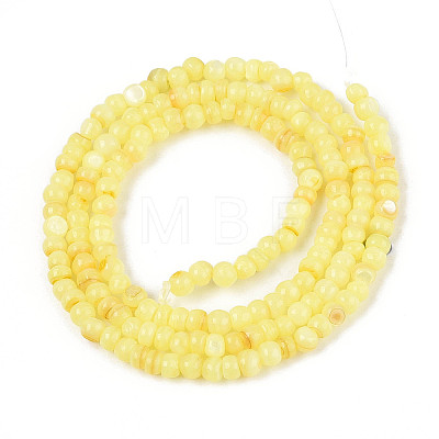 Natural Freshwater Shell Dyed Beads Strands SHEL-T020-29B-09-1