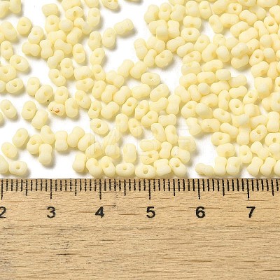 Glass Frosted Seed Beads SEED-K009-05B-08-1