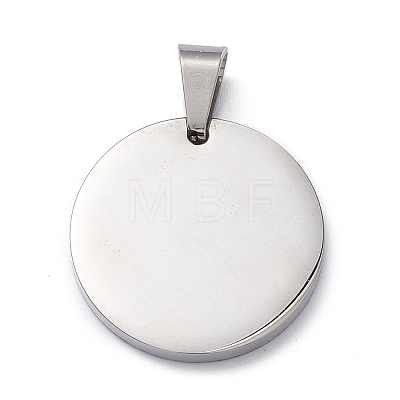 304 Stainless Steel Pendants STAS-Z027-02A-P-1