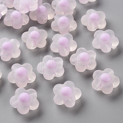 Transparent Acrylic Beads TACR-S152-09C-09-1