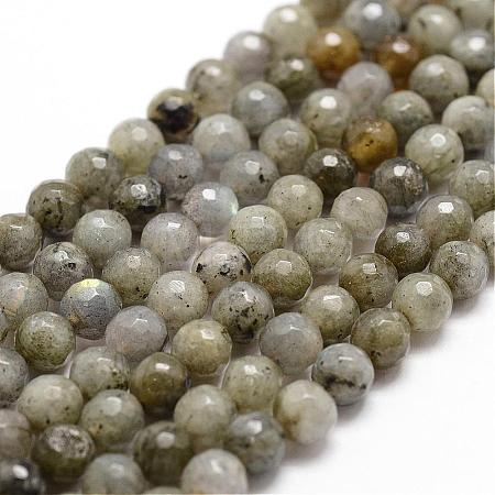 Natural Labradorite Beads Strands G-D840-10-6mm-1