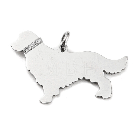 Non-Tarnish 304 Stainless Steel Pendants STAS-E205-10P-1