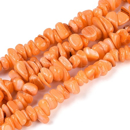 Dyed Natural Freshwater Shell Beads Strands BSHE-T014-55-1