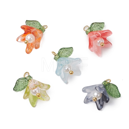 Handmade Lampwork Pendants PALLOY-TA00184-1