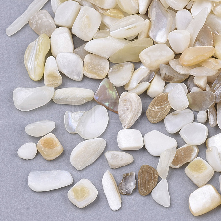 Freshwater Shell Beads SHEL-S266-11-1