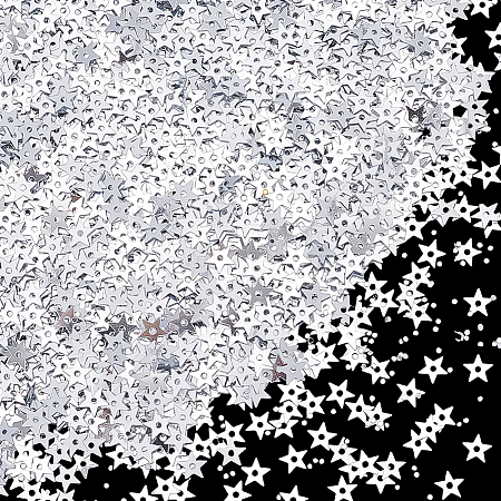 100G PET Paillette/Sequins Pendants KY-CY0001-24B-1
