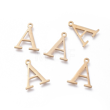 304 Stainless Steel Charms STAS-K215-19G-1