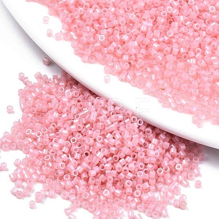 FGB 11/0 Grade A Baking Paint Glass Seed Beads SEED-S030-1143-1