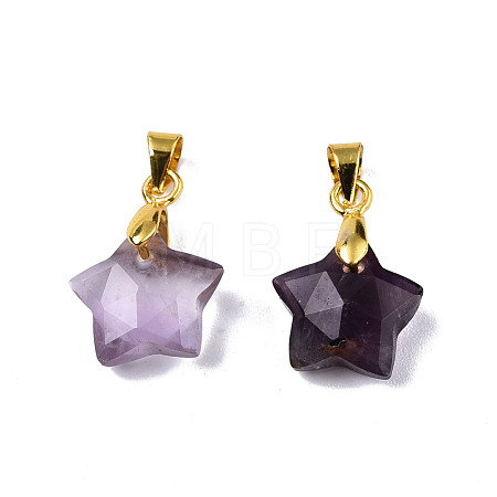 Natural Amethyst Charms G-N326-142-03-1