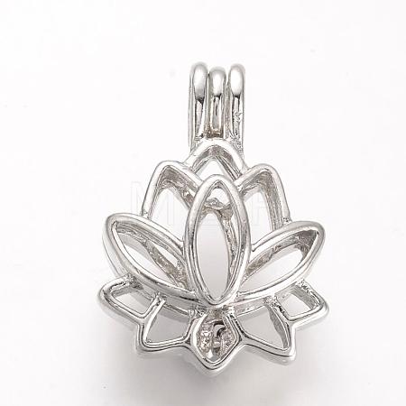 Alloy Diffuser Locket Pendants PALLOY-S062-40P-1
