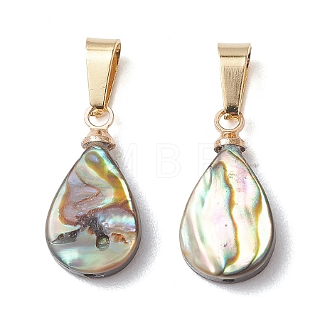 Abalone Shell/Paua Shell Pendants PALLOY-JF05263-1