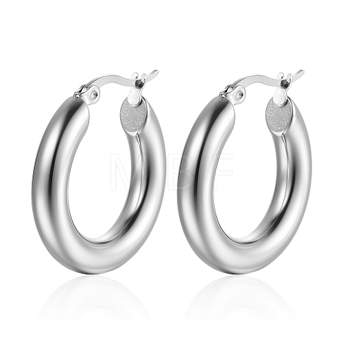 Stainless Steel Hoop Earrings for Women KQ9040-2-1