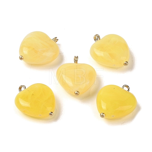 Acrylic Pendants MACR-C033-03D-1