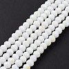 Electroplate Opaque Solid Color Glass Beads Strands EGLA-A034-P3mm-L17-2