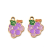 Fruit 304 Stainless Steel Enamel Pendants SA-CBA49D2-11G-09-1