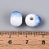 Handmade Crackle Porcelain Beads PORC-Q008-06B-06-3