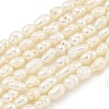Natural Cultured Freshwater Pearl Beads Strands PEAR-XCP0001-05-1