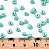 6/0 Glass Seed Beads SEED-S058-A-F439-4