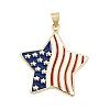 Alloy Enamel Pendants AL-CBAC8B4-03A-G-1