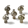 Natural Labradorite Pendants GG-CBAA0EE-05P-04-1