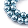 Shell Pearl Beads Strands BSHE-K015-8mm-02-3