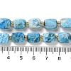 Natural Apatite Beads Strands G-H061-A04-01-5