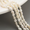 Natural Keshi Pearl Cultured Freshwater Pearl Beads Strands PEAR-P062-19-2