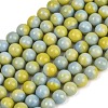 Handmade Lampwork Beads Strand LAMP-B056-8mm-15-2
