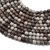 Natural Red Dendritic Jasper Beads Strands G-Z116-A27-2mm-4